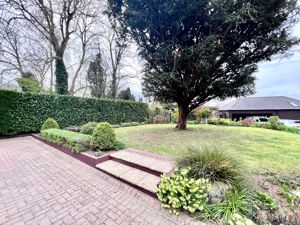 Front Garden- click for photo gallery